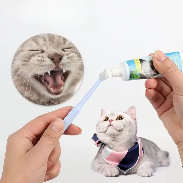 360 ° Brosse à dents pour animaux de compagnie
