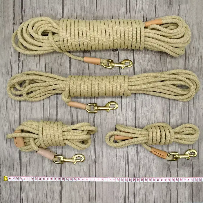 Laisse de suivi Durable pour chien, longue corde en Nylon, entraînement pour animaux de compagnie, l