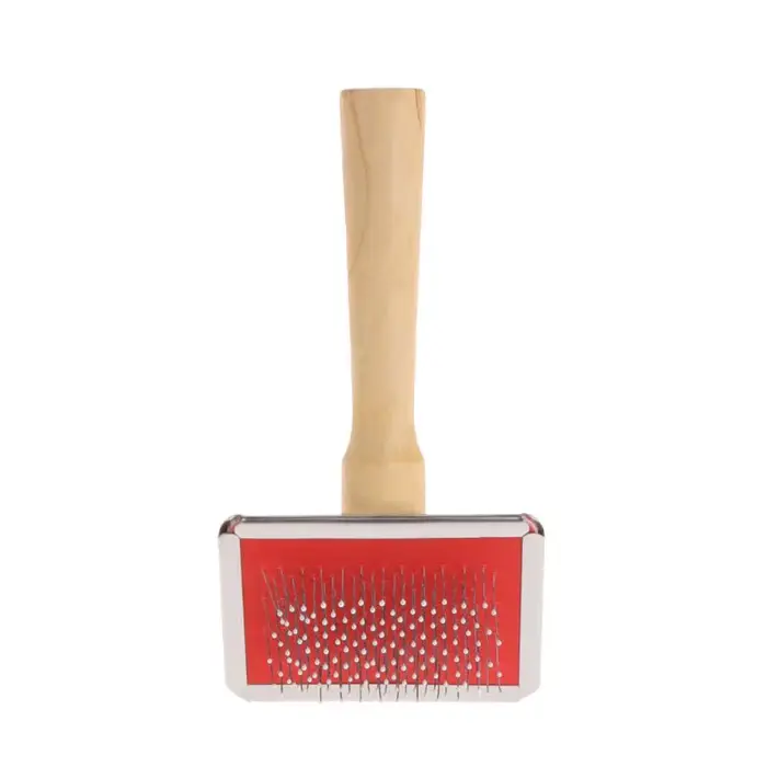 Brosse nettoyage pour animaux compagnie, brosse nettoyage pour chiens petite, moyenne taille