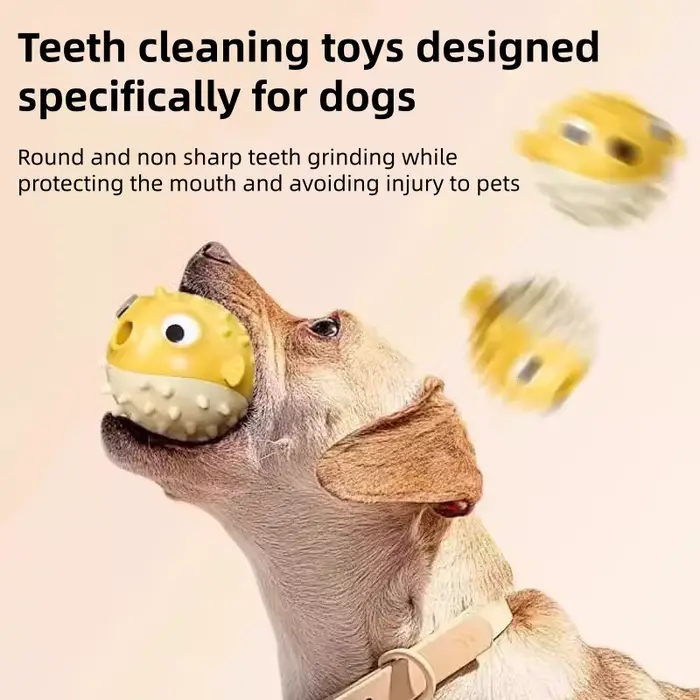 Jouet pour chien durable et résistant aux morsures