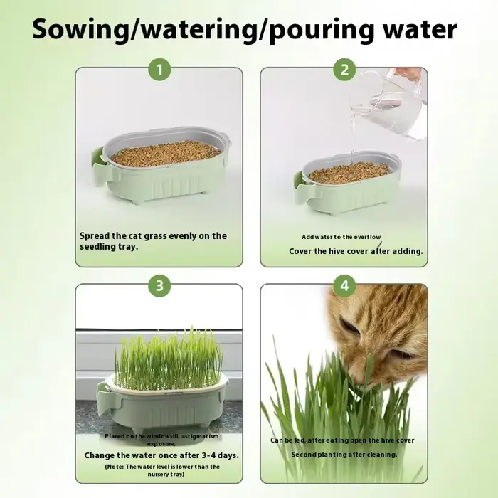 Kit de jardinière d'herbe pour chat biologique