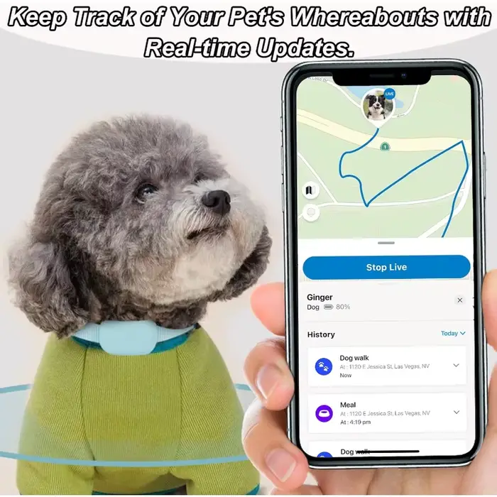 Collier de suivi GPS intelligent pour animaux de compagnie
