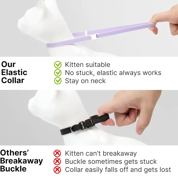 Collier de sécurité mignon pour chat