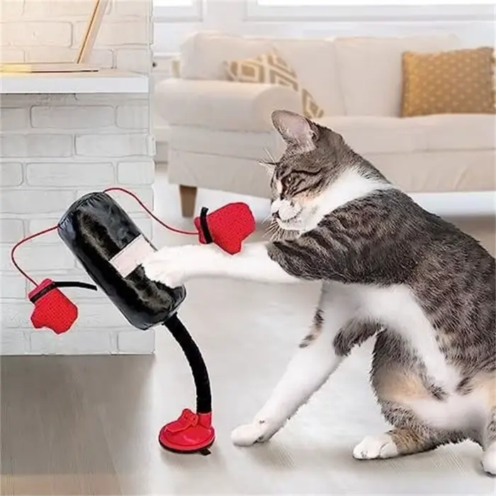 Nouveau dessin animé chat sac de boxe jouet intérieur chaton chat boxe jouet avec gants de boxe pour