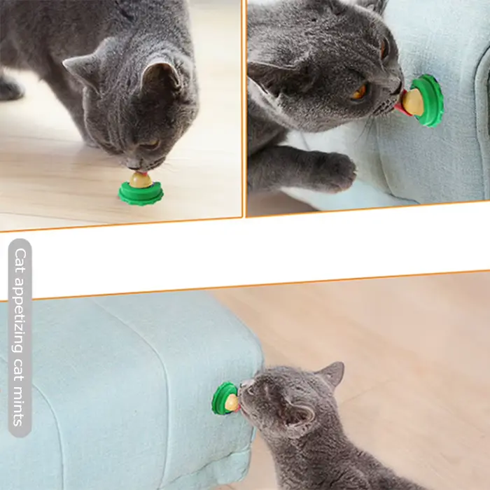 Chat herbe-aux-chats léchant bonbons Snack pour chaton Nutrition poisson Gel énergie sucre boule