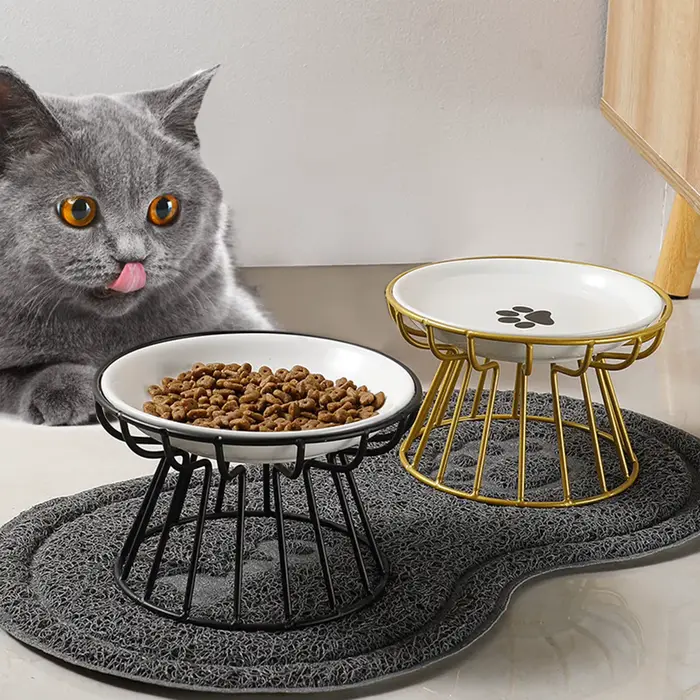 Bol pour chat amable aux moustaches