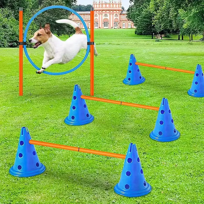 Ensemble d'entraînement d'agilité pour animaux de compagnie, barre de saut, équipement d'entraînemen