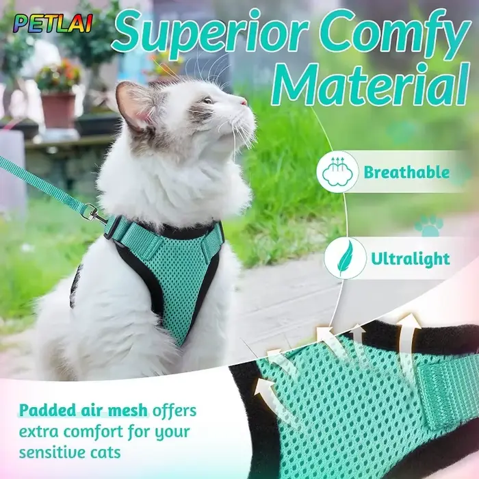 Collier pour chien et chat