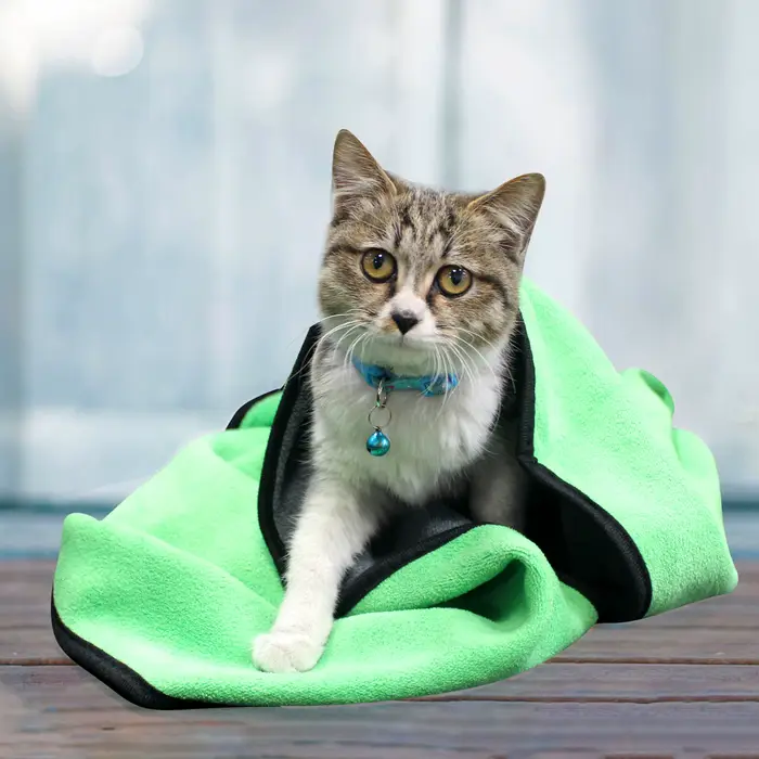 Serviette de bain absorbante pour animaux de compagnie, à séchage rapide, pour chiens et chats, en F