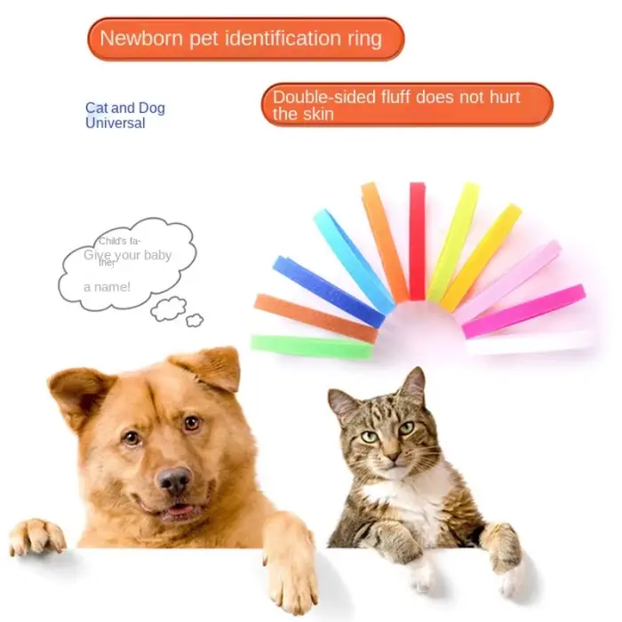 12 pièces colliers pour animaux de compagnie chien chat crochet et boucle collier d'identification c