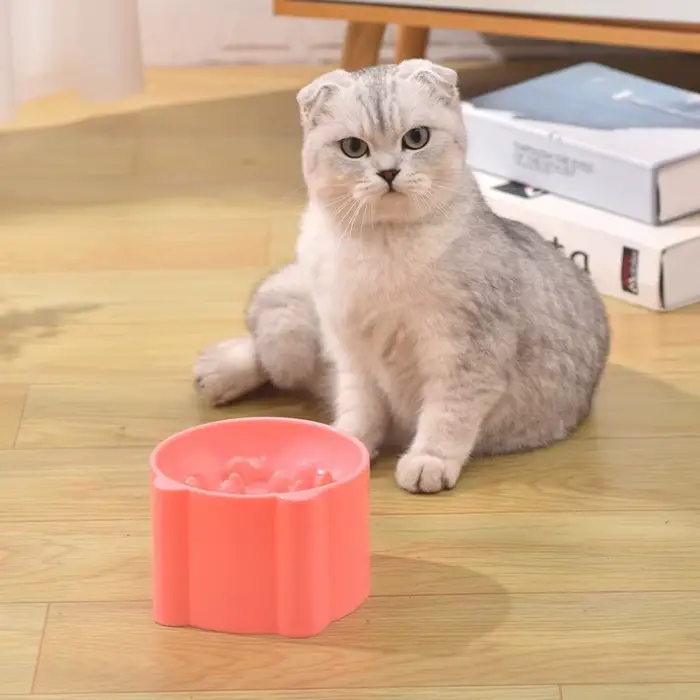 Bol de nourriture lente pour chat
