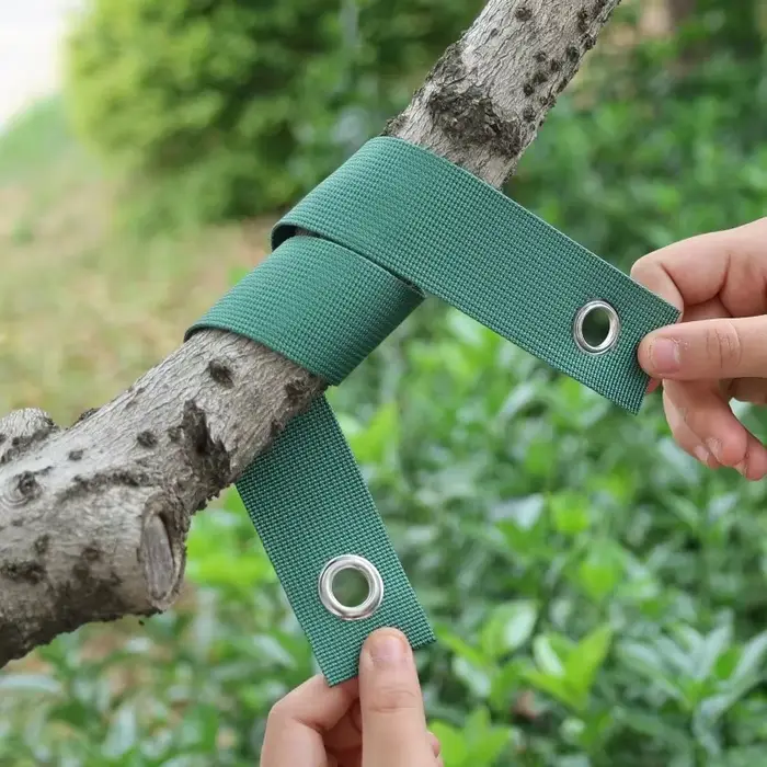 Sangles de Support d'Arbre pour Piquets