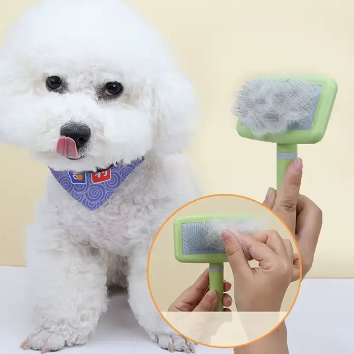 Brosse pour chien, épilateur de Massage pour animaux de compagnie, peignes pour chiens, toilettage p