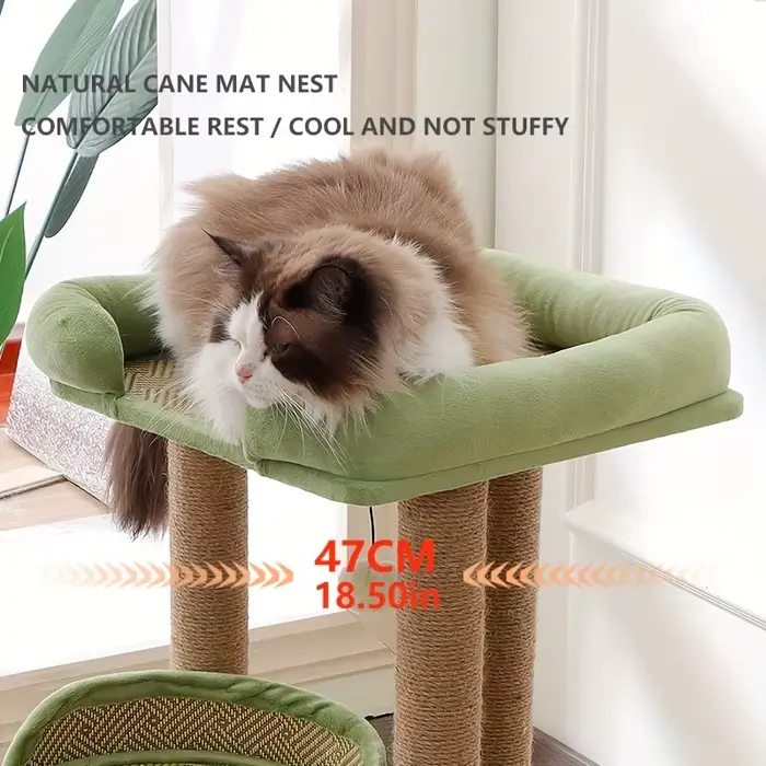 Arbre à chat de luxe à 2 niveaux avec postes à gratter en Sisal