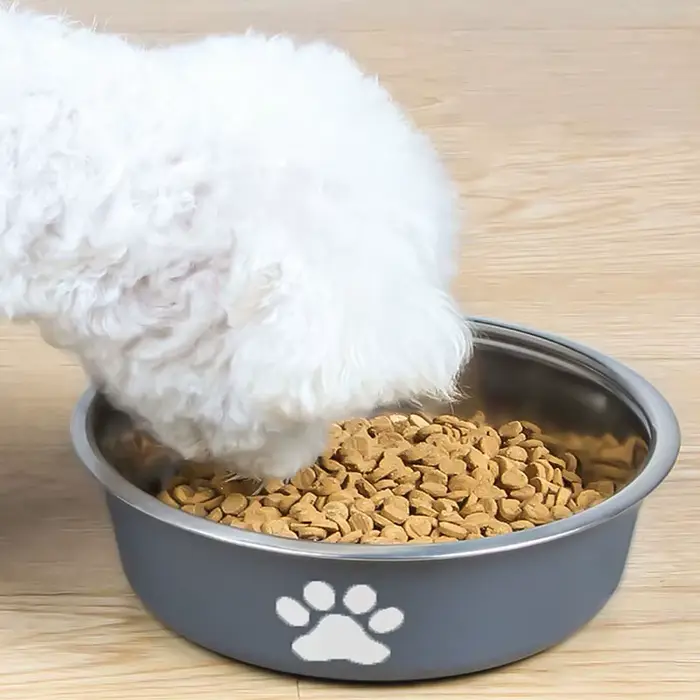 Bol pour chat bassin pour chien en acier inoxydable nouveau imprimé fournitures pour animaux de compagnie bol