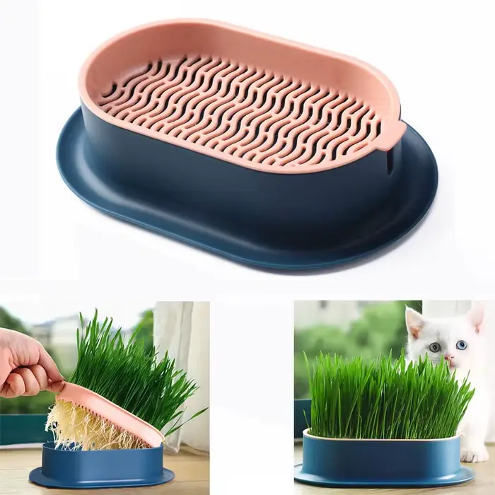 Plat de germe pour chat de compagnie, Pot de culture pour plantes hydroponiques, Pot d'herbe, boîte de Germination, plat de démarrage pour pépinière, boîte de culture en serre