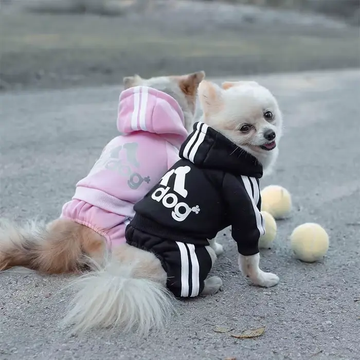 Sweat à capuche pour chien à quatre pattes, combinaison pour chiot, salopette avec lettres pour peti