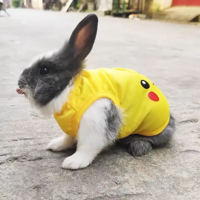 Gilet pour animaux de compagnie pour lapin chats été respirant lapins vêtements antiadhésif cheveux 