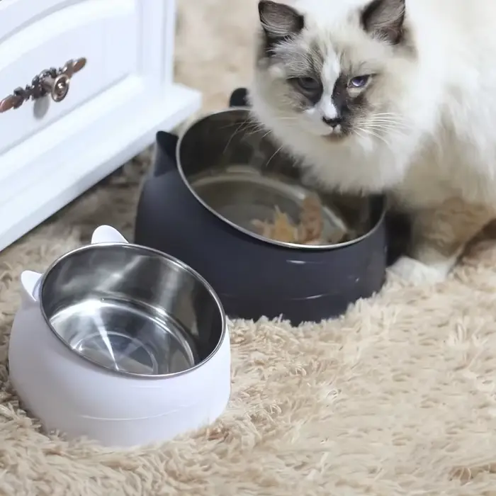 Bol pour chat 2 en 1 en acier inoxydable avec support - Design oreilles de chat mignonnes, bol incliné pour nourriture et eau, bol surélevé antidérapant pour animaux de compagnie