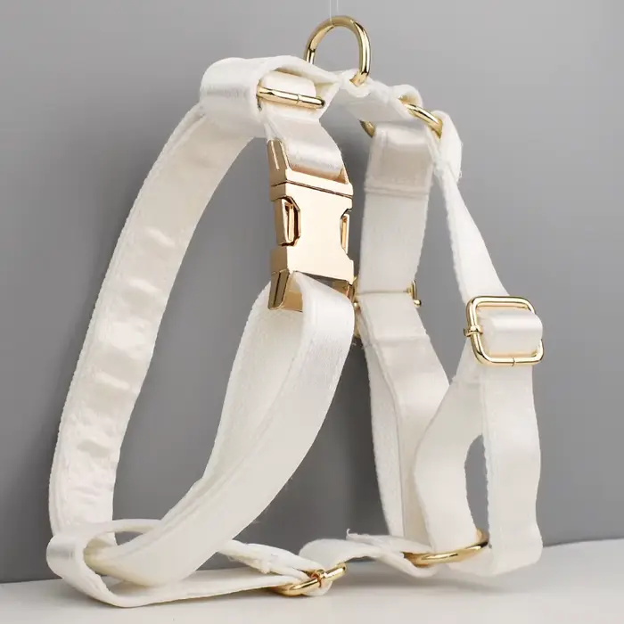 Collier, laisse et harnais pour chien en polyester imprimé par sublimation avec logo personnalisé, d