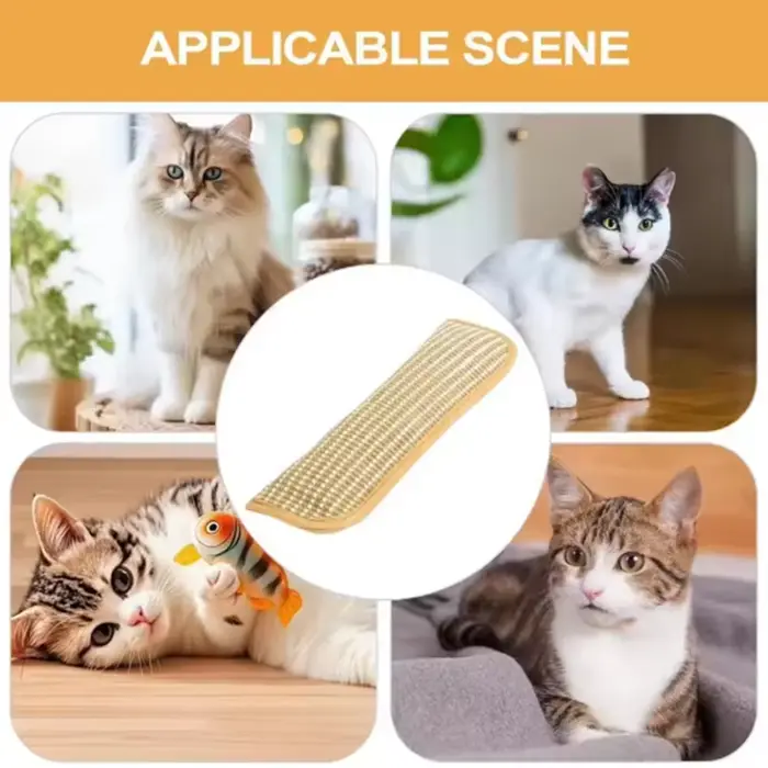 Jouets interactifs à gratter pour chat