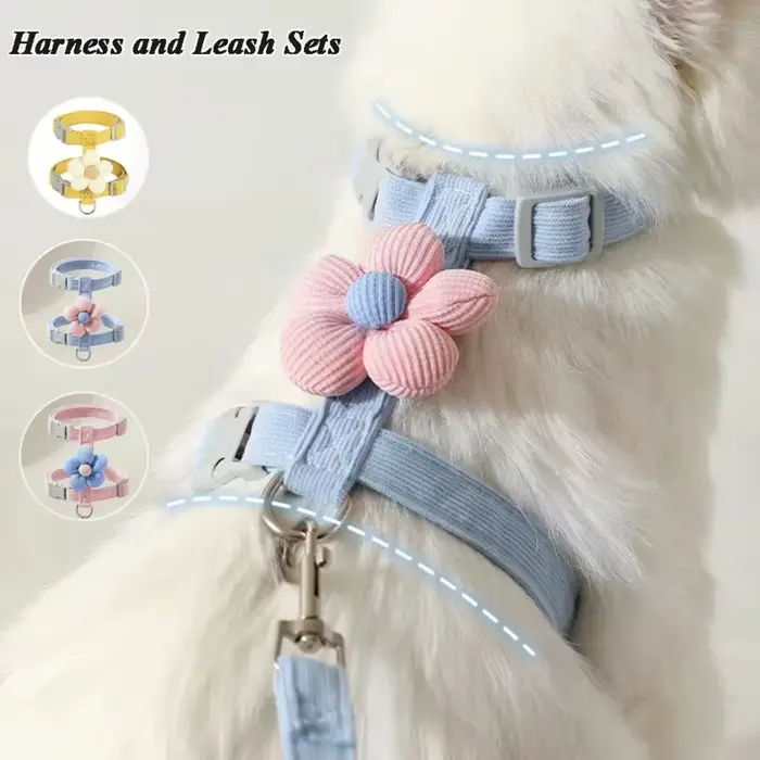 Ensembles de harnais et de laisse pour chat