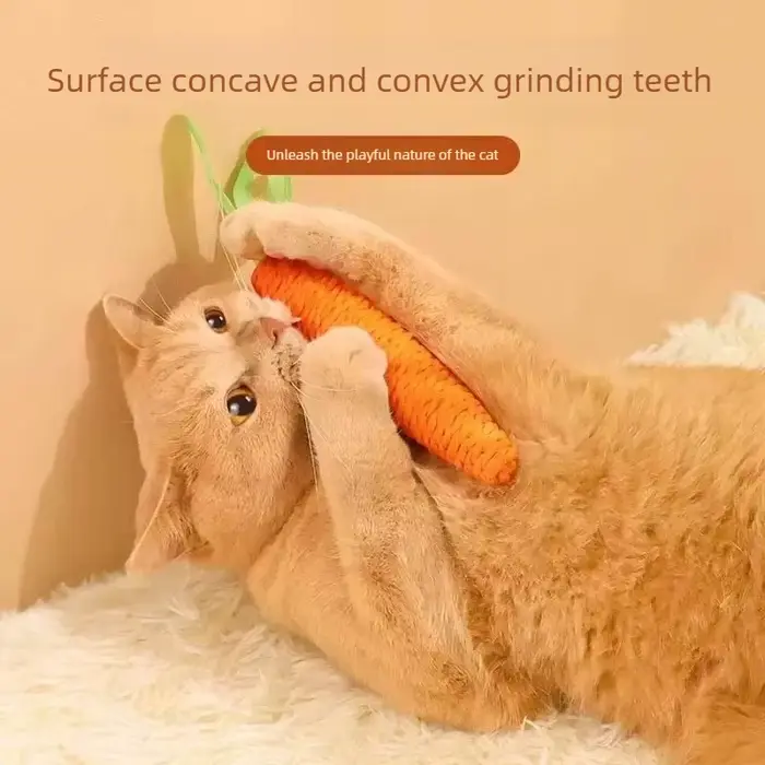 Jouet pour chat avec son