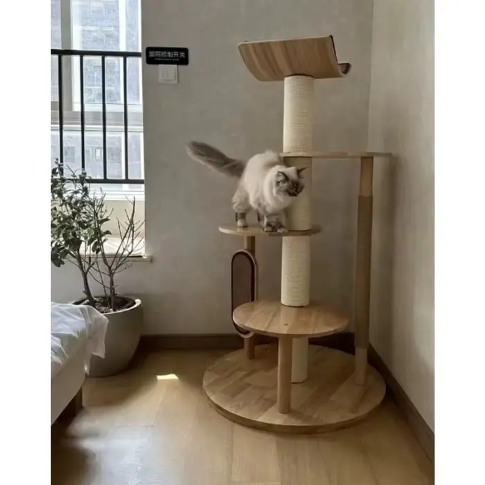 Arbre à chat d'intérieur moderne de luxe en bois courbé avec sisal durable