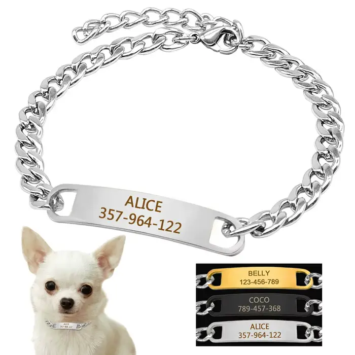 Collier chaîne personnalisé pour chat, gravure gratuite, chiot, chaton, plaque signalétique, collier