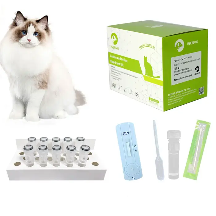 Kit de test d'infection à calnorvirus pour chat félin, vétérinaire à domicile, écouvillon nasal et o