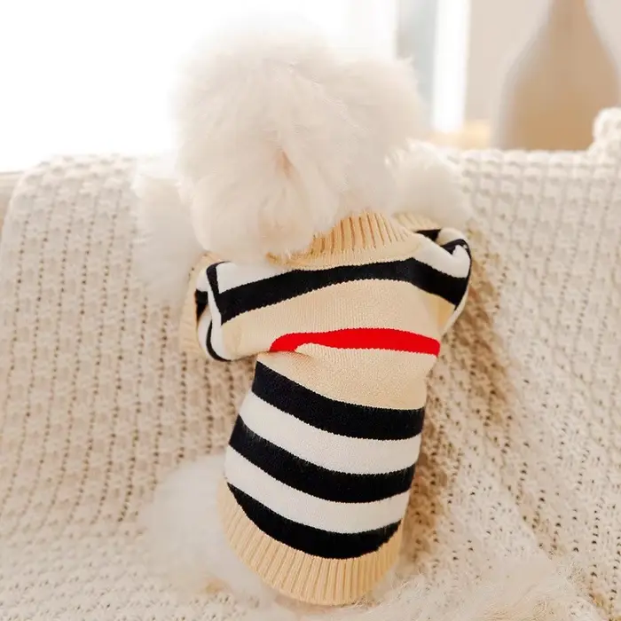 Vêtements de luxe pour petits chiens, pull chaud d'hiver pour Chihuahua bouledogue français, article