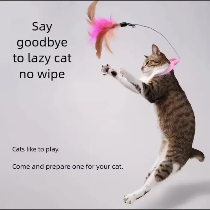 Nouveau produit : Collier jouet pour chat à plumes et clochette, pour auto-entretenement, Fournitures pour animaux de compagnie