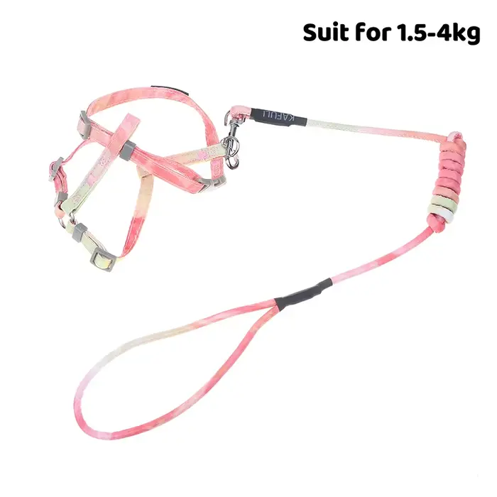 Harnais et laisse pour chat réglables, anti-évasion, gilet souple, harnais pour chaton, accessoires 