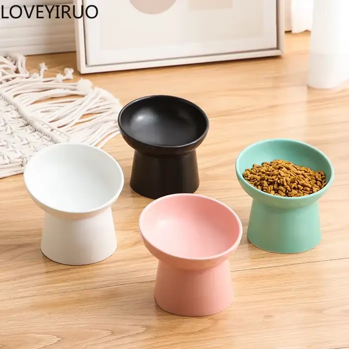 Bols créatifs pour animaux de compagnie