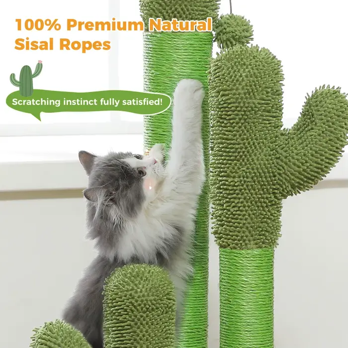 Arbre à chats cactus pour chats d'intérieur, grand griffoir avec 3 poteaux en sisal, balle suspendue