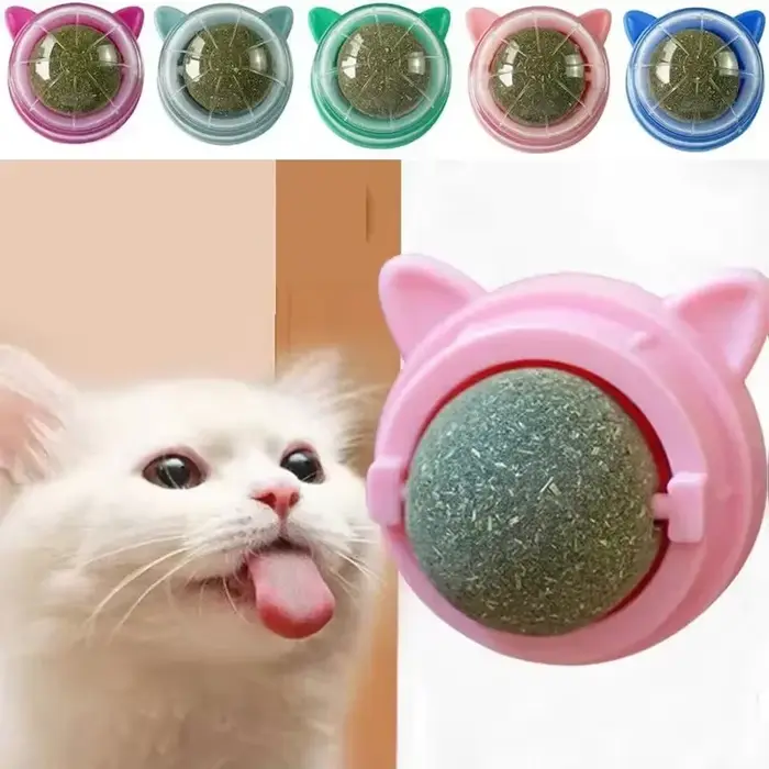 Snacks d'herbe pour chat