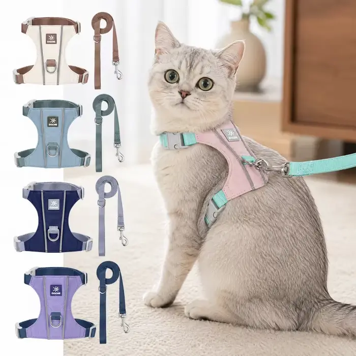 Harnais anti-évasion pour chat