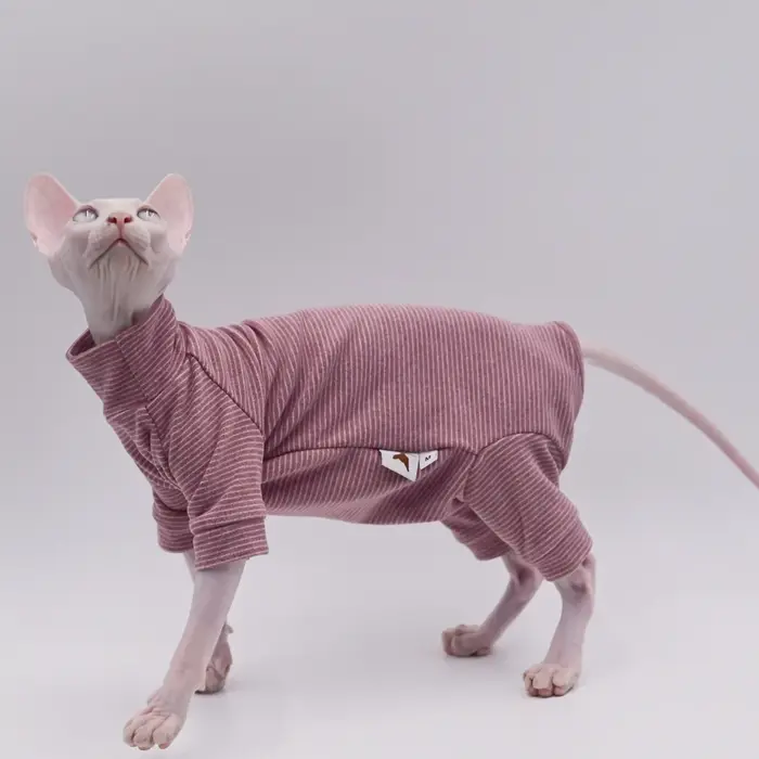 Vêtements pour chats sans poils, sweat à capuche chaud et doux à quatre pattes pour chats Sphynx pou