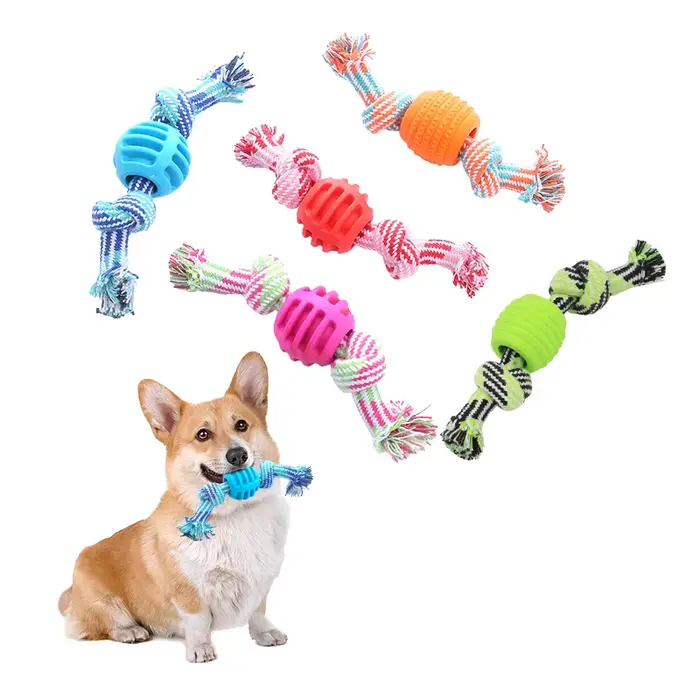 Jouet pour chien, corde en coton, boule à double nœud, résistant aux morsures, jouet de nettoyage de