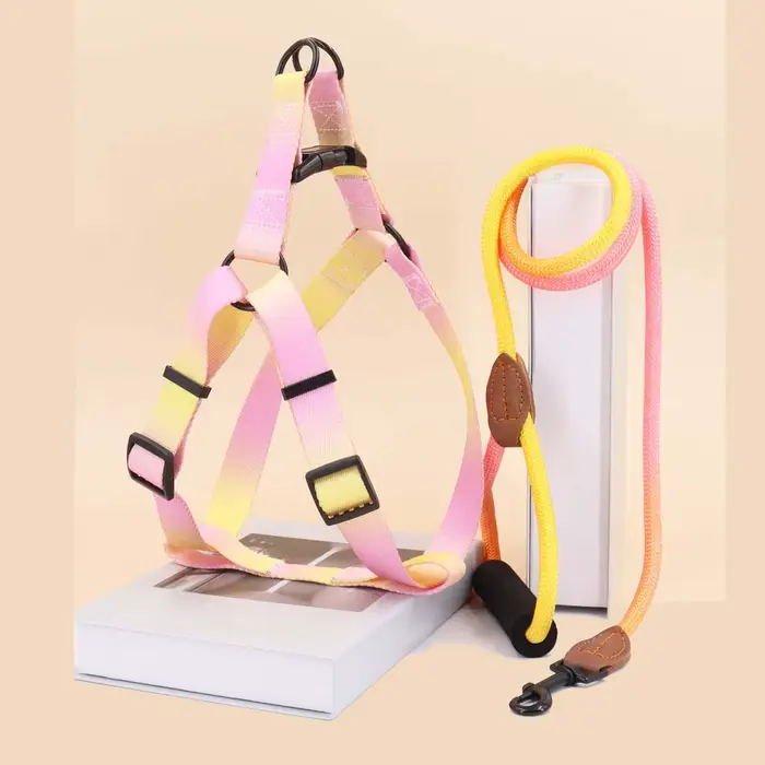Harnais coloré pour animaux de compagnie avec laisse et laisse pour chien, utilisation intérieure et