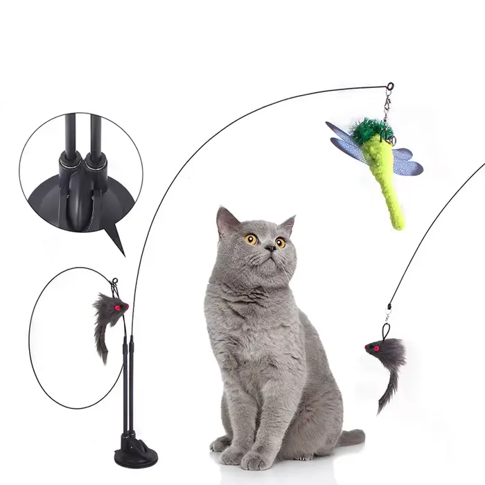 Jouets pour chat Simulation oiseau interactif ventouse plume oiseau avec cloche chat bâton jouet pou