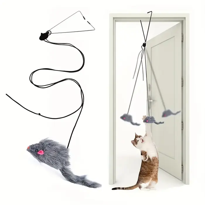 Jouet pour chat à suspendre à la porte, anti-stress, pour salon, jouet suspendu pour chaton