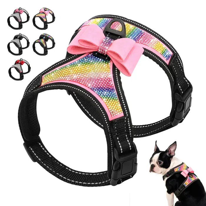 Accessoires pour chiens Bowvétérans t Bling Casting, nylon SFP, petits chiens moyens, Pitbull, émail