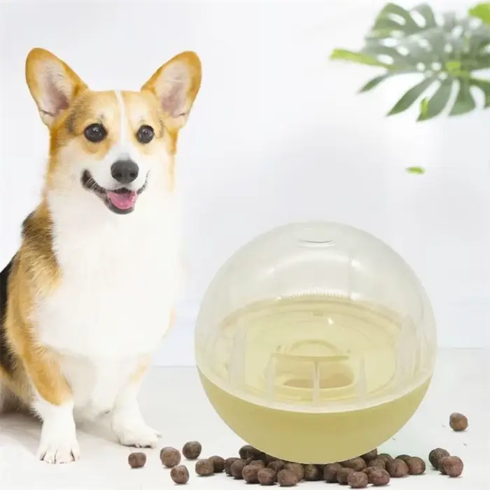 Jouets interactifs pour chiens et chats