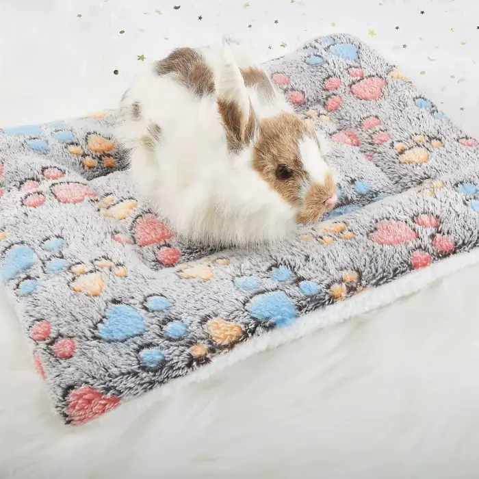 Tapis de lit épais en flanelle pour chien, tapis de couchage doux pour animaux de compagnie, couvert