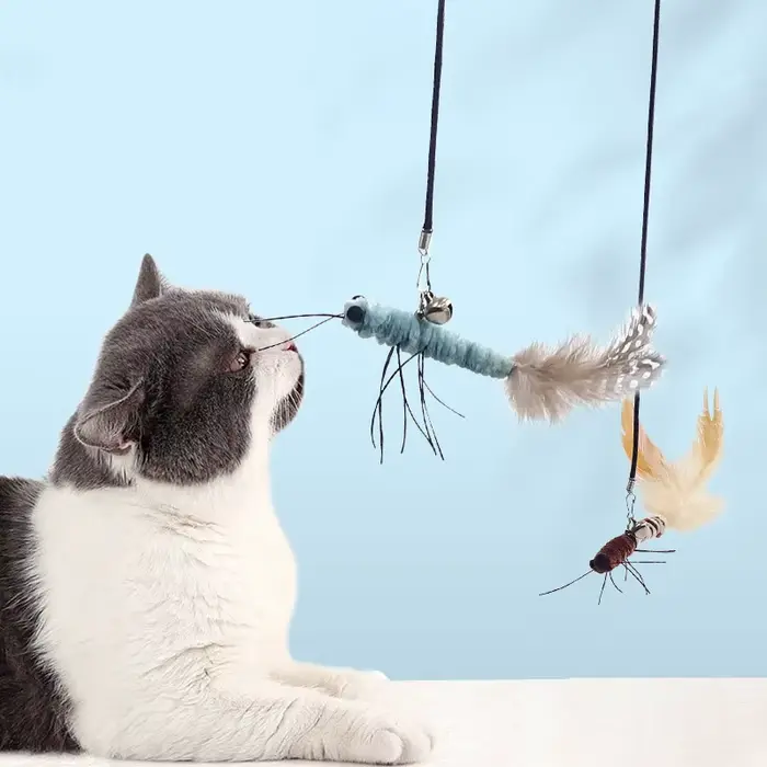 Jouet pour chat plume chats bâtons interactif chat jouet fil d'acier papillon jouets pour chats taqu