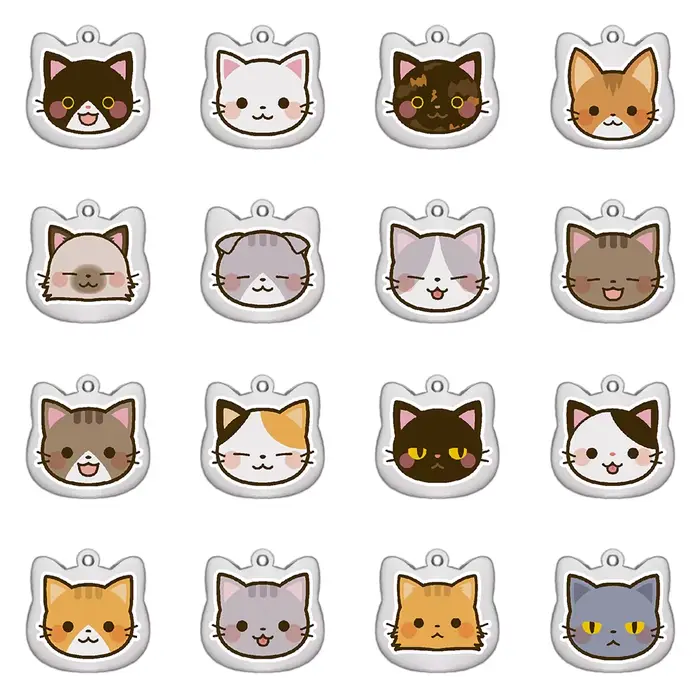 Étiquettes de chat personnalisées mignonnes en acier inoxydable, motif coloré, étiquettes de nom de