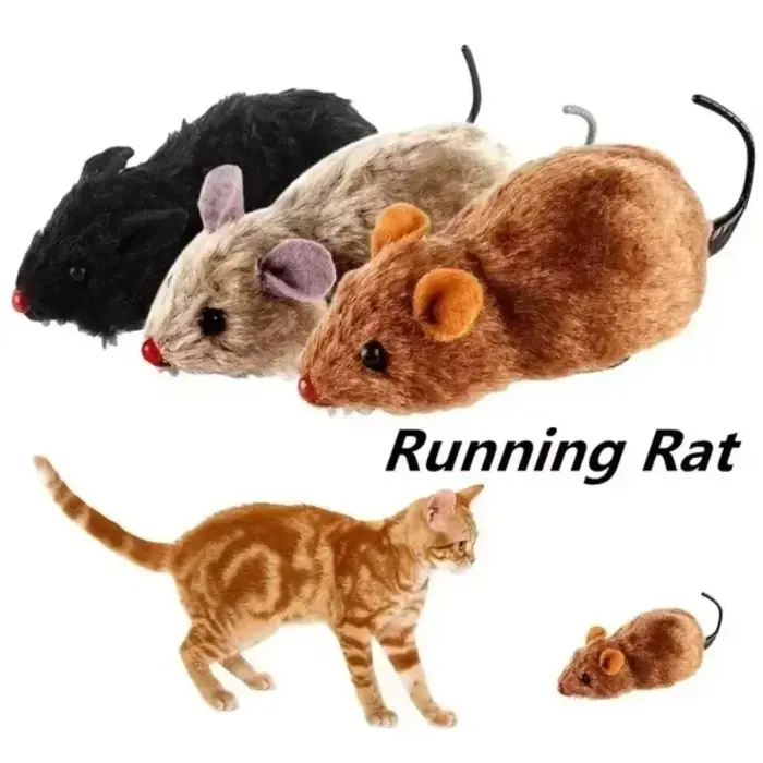 Souris en peluche réaliste et amusante, jouet pour chats, chiens, queue de souris, animaux de compag