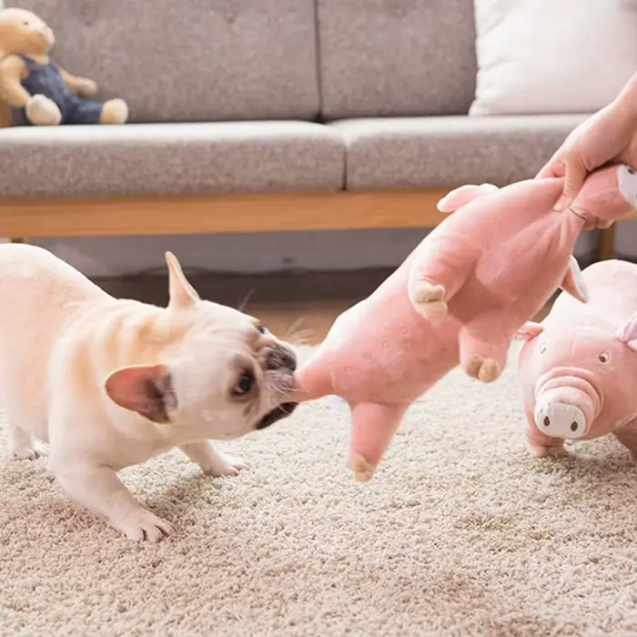 Jouet à mâcher en peluche pour animaux de compagnie