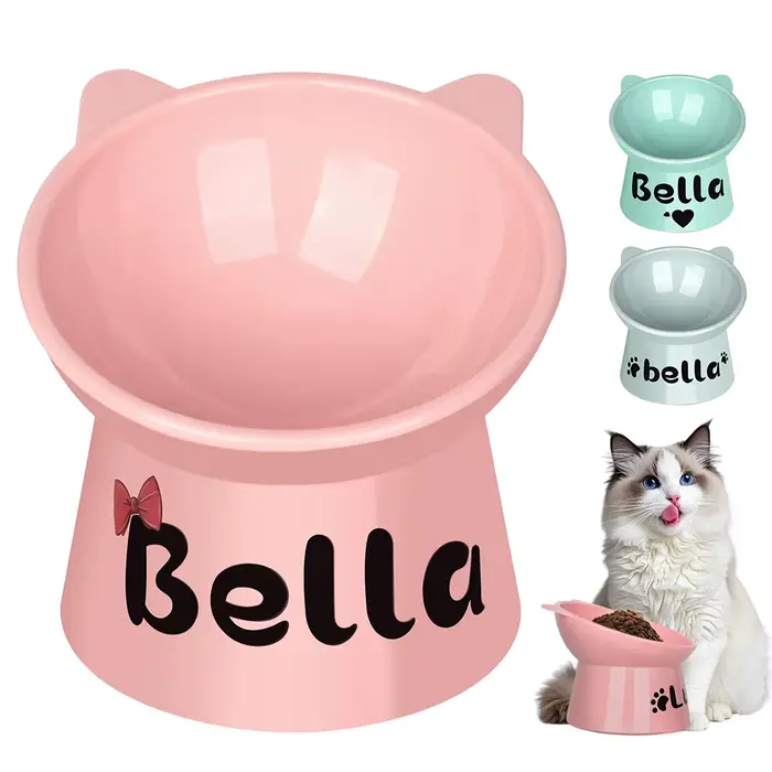 Bol de nourriture personnalisé pour chat, pied haut, pour chien et chat, impression gratuite, nom d'animal de compagnie, bols d'eau, tasse d'alimentation pour animaux de compagnie, accessoires pour ch